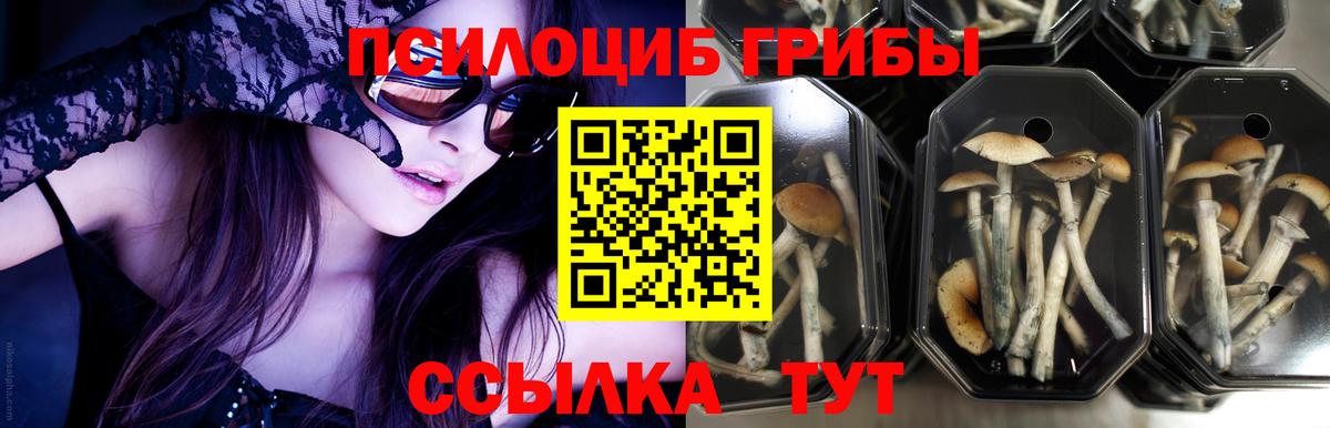 Галлюциногенные грибы GOLDEN TEACHER  Вход с VPN  Лениногорск 