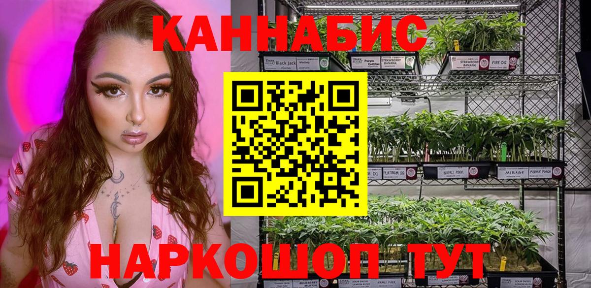 Бошки Шишки планчик Лениногорск